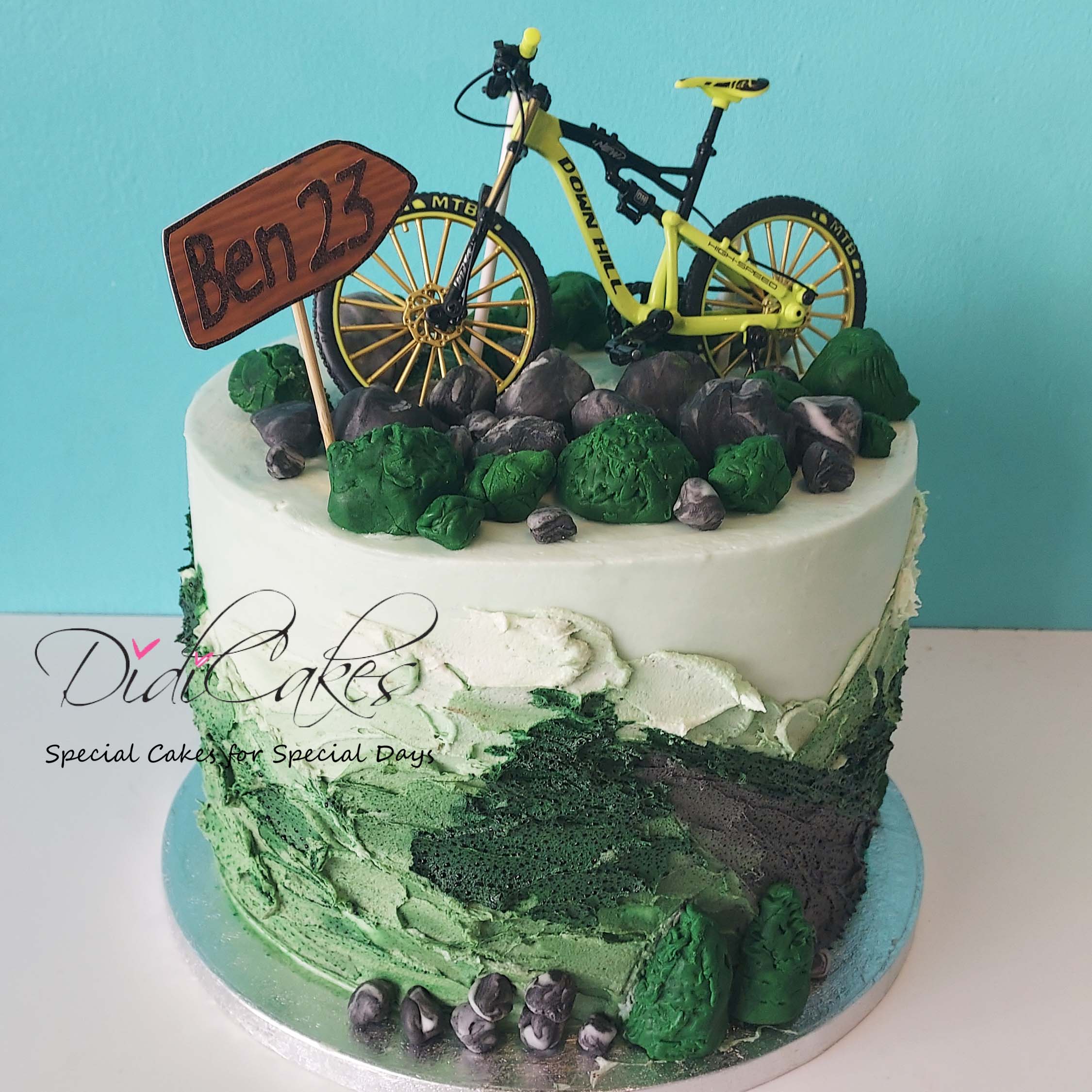 Mountain Bike Cake – Didi Cakes