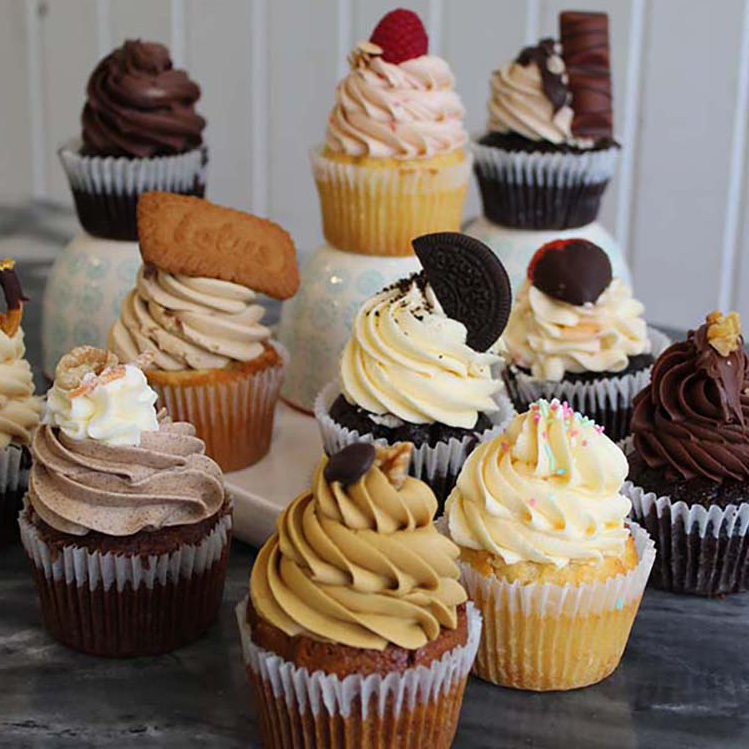 Regular Cupcake Box