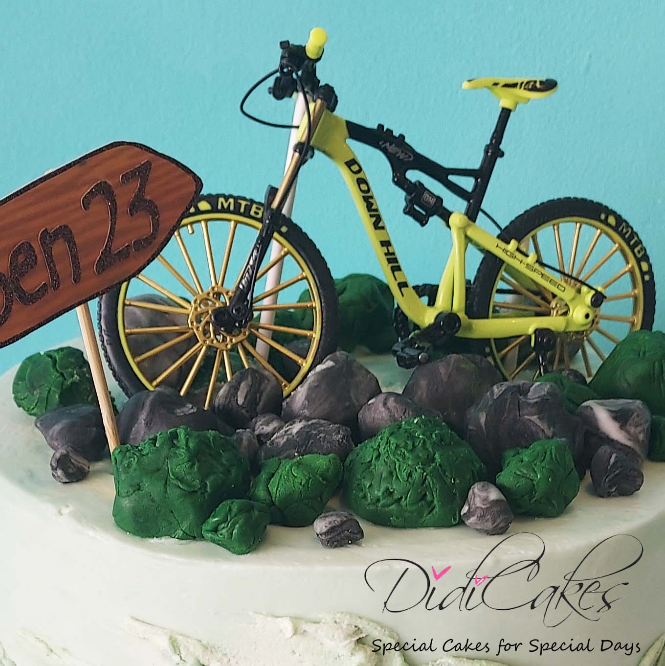 Bicycle Cake - 1107 – Cakes and Memories Bakeshop