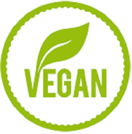 Vegan Vanilla Cupcake